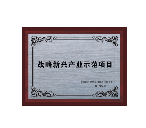 經(jīng)貿(mào)信息委 戰(zhàn)略新興產(chǎn)業(yè)示范項目