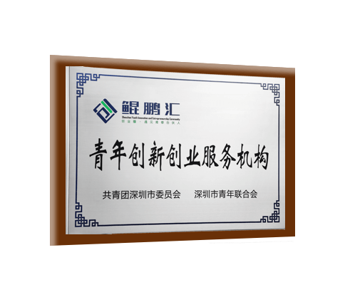 國高新青年創(chuàng)新創(chuàng)業(yè)服務(wù)機(jī)構(gòu)技術(shù)企業(yè)